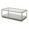 ACME Kaia Glass & Gold Coffee Table Model LV02085