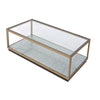 ACME Kaia Glass & Gold Coffee Table Model LV02085