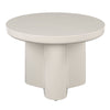 ACME Joane Light Gray High Gloss End Table Model LV03746