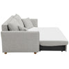 ACME Oran Gray Chenille Sofa with Sleeper Storage & 2 Pillows Model LV03800