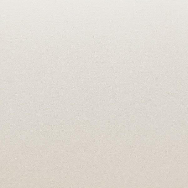 ACME Martina Ivory Velvet Sofa with 2 Pillows Model LV03850