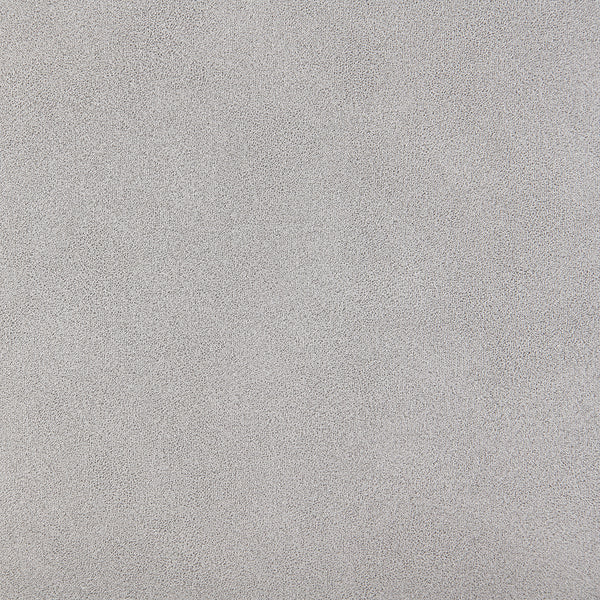 ACME Chriki Light Gray Polished Microfiber Power Recliner with Lift & Heating & Massage Model LV04272