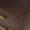 Manhattan Contemporary Brown Oak and Gold Chest