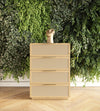 Gavin Modern Natural Ash + Rattan Chest