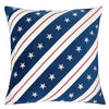 Furniture of America Washton Multi Novelty Accent Pillow Model PL8090-2PK