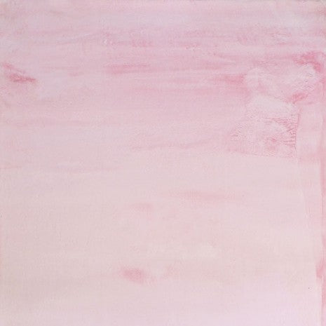 Furniture of America Famalica Pink Contemporary Area Rug Model RG5138