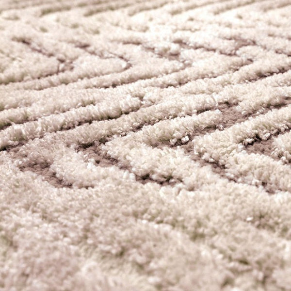 Furniture of America Millsboro Beige Contemporary Area Rug Model RG8111