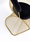 Modrest Chandler Black Velvet & Gold Dining Chair Model VGZAY007-BLKGLD