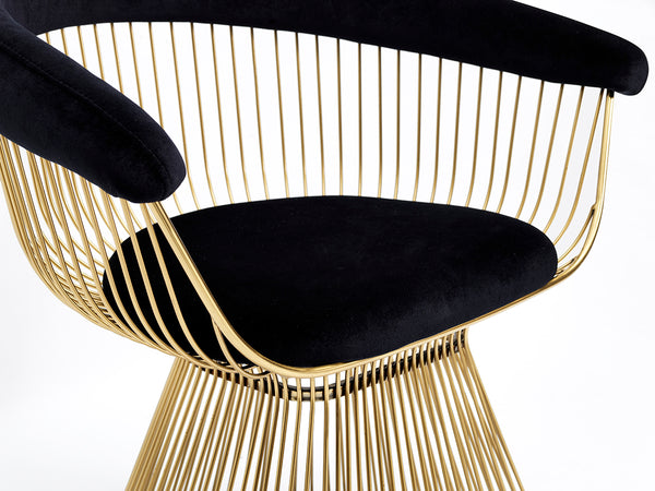 Modrest Chandler Black Velvet & Gold Dining Chair Model VGZAY007-BLKGLD