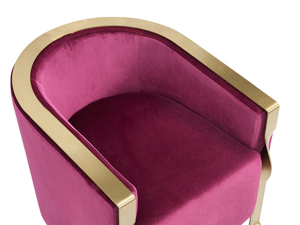 Divani Casa Anthony Modern Pink & Gold Accent Chair Model VGZAZCS600-1-PNK