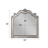 ACME Esteban Antique Champagne Mirror Model 22204