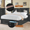 ACME Louis Philippe III Black Queen Bed with Storage Model 24390Q