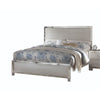 ACME Voeville II Platinum Queen Bed Model 24840Q