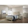 ACME Carine Champagne Mirror Model 26244