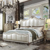 ACME Dresden II Pearl White Synthetic Leather & Gold Patina Queen Bed Model 27820Q
