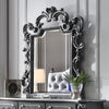 ACME House Delphine Charcoal Mirror Model 28834