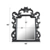 ACME House Delphine Charcoal Mirror Model 28834