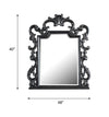 ACME House Delphine Charcoal Mirror Model 28834
