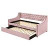 ACME Lianna Pink Velvet Daybed with Trundle (Twin) Model 39380