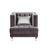 ACME Hegio Gray Velvet Chair with Pillow Model 55267