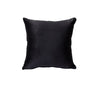 ACME Heibero Black Velvet Loveseat with 2 Pillows Model 56996