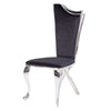 ACME Cyrene Fabric & Stainless Steel Side Chair (Set-2) Model 62079