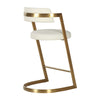 Modrest Shandra Beige Pleather & Gold Counter Stool Model VGRH-RHS-CS-220-BGEGLD