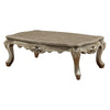 ACME Ranita Marble Top & Champagne Coffee Table Model 81040