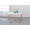 ACME Alivia Rose Gold & Frosted Glass Coffee Table Model 81835