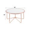 ACME Alivia Rose Gold & Frosted Glass Coffee Table Model 81835