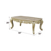 ACME Gorsedd Natural Marble Top & Golden Ivory Coffee Table Model 82440