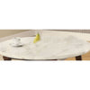 ACME Gasha White Natural Marble Top & Walnut Coffee Table Model 82890