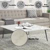 ACME Telestis White Natural Marble Top & Black Coffee Table Model 84500