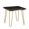 ACME Telestis Black Natural Marble Top & Gold End Table Model 84507