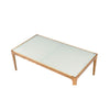 ACME Gwynn Natural & Frosted Glass Coffee Table Model 84665