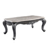 ACME Ariadne Natural Marble Top & Platinum Coffee Table Model 85345