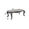 ACME Ariadne Natural Marble Top & Platinum Coffee Table Model 85345