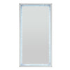 ACME Noralie LED Mirrored & Faux Diamonds Floor Mirror Model 97600