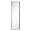 ACME Noralie Mirrored & Faux Diamonds Floor Mirror with LED Model 97713