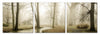 Modrest Mist 3 Panel Photo On Canvas Model VGSCSH-71192ABC