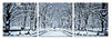 Modrest Winter Trees 3 Panel Photo Model VGSCSH-71925ABC