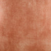 ACME Sambell Burnt Orange Velvet Accent Chair Model AC00126