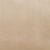 ACME Zunyas Beige Velvet Accent Chair with Swivel Model AC00290