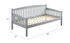 ACME Caryn Gray Daybed (Twin) Model BD00380