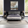ACME Metis Gray Top Grain Leather Queen Bed Model BD00559Q