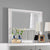 ACME Katia Rustic Gray & Weathered White Mirror Model BD00662