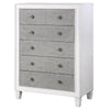 ACME Katia Rustic Gray & Weathered White Chest Model BD00664