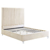 ACME Edzia Beige Velvet Queen Bed Model BD00963Q