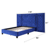 ACME Damazy Blue Velvet Queen Bed Model BD00973Q