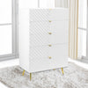 ACME Gaines White High Gloss Chest Model BD01038A